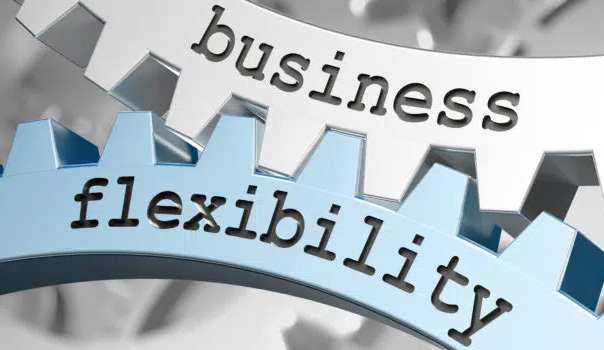 Business Flexibility with a cloud-based system